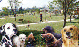 世界の名犬牧場