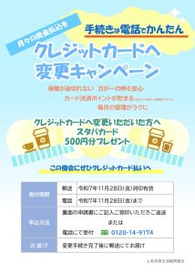 テンプレート_クレカチラシ_A4_縦（表）3-1のサムネイル